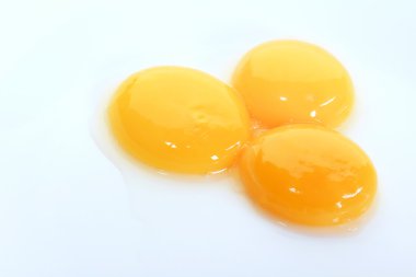 yumurta sarısı
