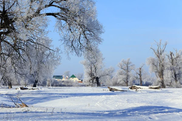 Frosty morning in the village — Stock Photo, Image