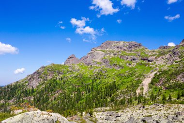 Kaplumbağa dağ dağ Ergaki Batı Sayan