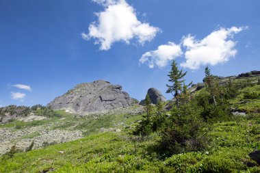 Kaplumbağa dağ dağ Ergaki Batı Sayan