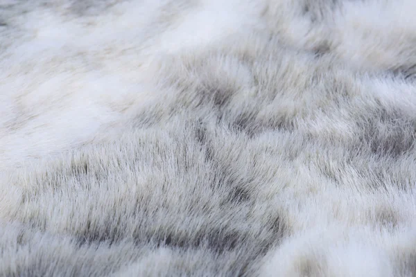 Υφή του γκρι γούνα — Φωτογραφία Αρχείου
