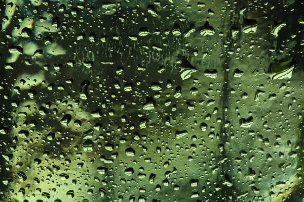Краплі на зеленому склі — стокове фото
