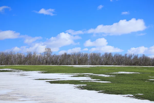 Fonte des neiges au début du printemps — Photo