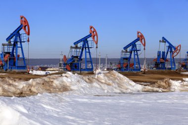 bir alan bahar içinde petrol pompaları