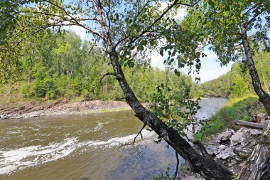 Güzel yaz manzarası 