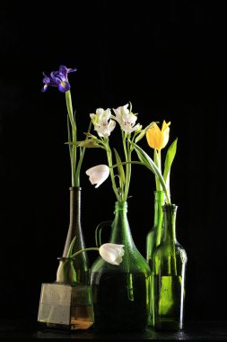 çiçekler, şişeli