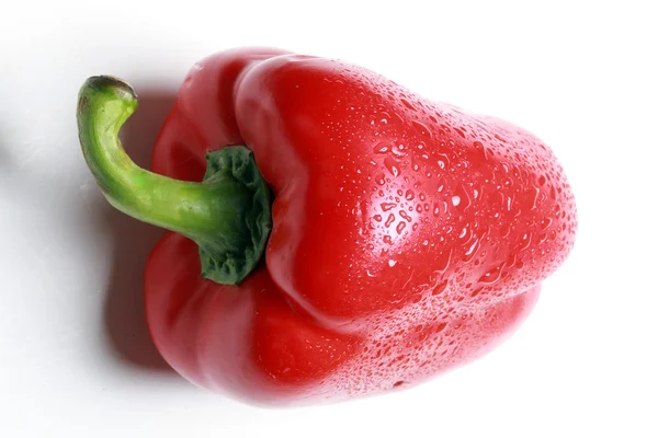 Apetitoso pimiento rojo — Foto de Stock