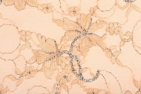 Beige lace with embroidery — Stock Photo, Image