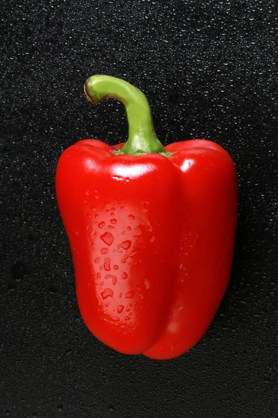 Poivron rouge appétissant — Photo