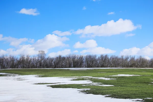 Fonte des neiges au début du printemps — Photo