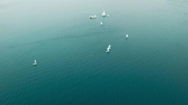 海の波の上でヨットチームの訓練の鳥の目のビュー多数の訓練ヨット — ストック動画