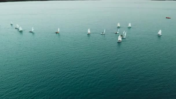 一只鸟瞰着一支划艇队在海浪中训练的景象 一大批训练游艇 — 图库视频影像
