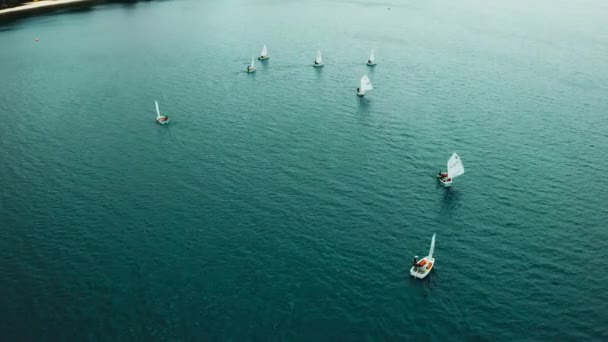 Bird Eye View Yachting Team Training Waves Sea Large Number — стоковое видео