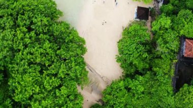 Okyanusu çevreleyen beyaz kum ve yeşil bitkilerle dolu bir sahil manzarası.