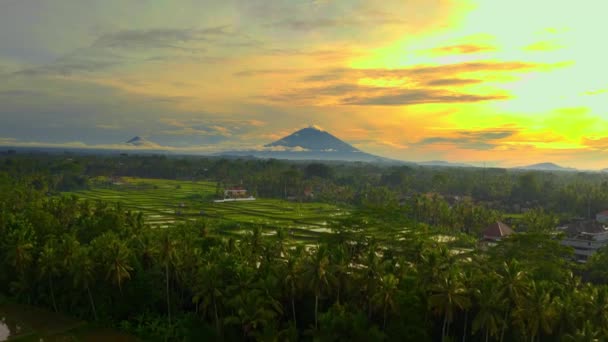 Vlieg Een Drone Door Jungle Met Een Prachtig Uitzicht Batur — Stockvideo