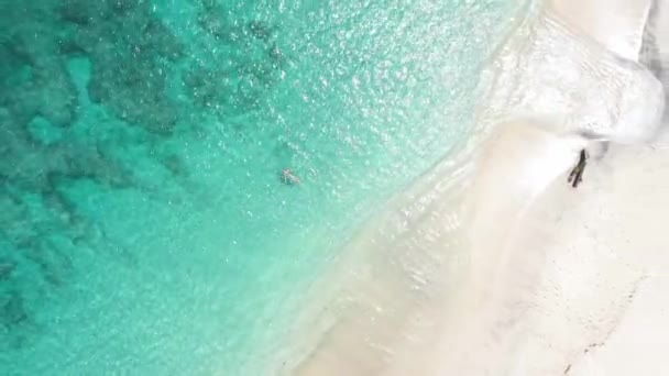 画面的中央是美丽的蓝色碧绿的水 一个女孩正享受着温暖的水 周围环绕着白沙和热带植被 — 图库视频影像