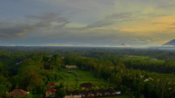 Fly Drone Jungle Beautiful View Batur Volcano Sunrise — Stock Video