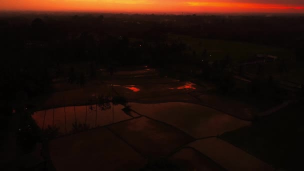 Ormanın Üzerinde Pirinç Tarlalarıyla Çılgın Kırmızı Gün Batımı — Stok video