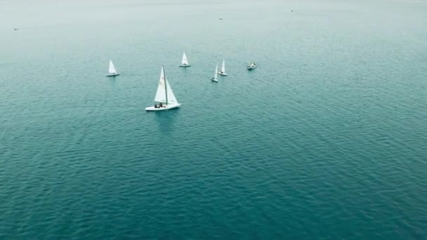 Una Vista Pájaro Equipo Yates Entrenamiento Las Olas Del Mar — Vídeos de Stock