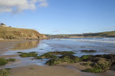 Bigbury on Sea, Devon, İngiltere