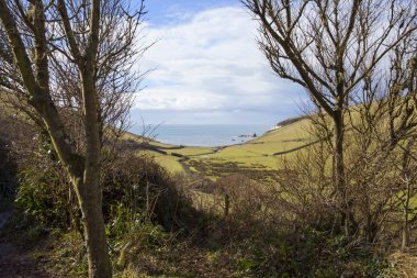 Görünümü doğru Ayrmer Cove, Devon, İngiltere