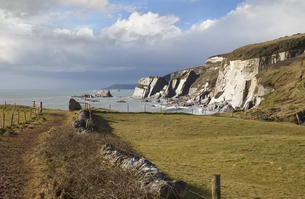 Ayrmer Cove, Devon, İngiltere — Stok fotoğraf