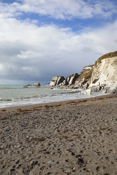 Ayrmer Cove, Devon, İngiltere — Stok fotoğraf