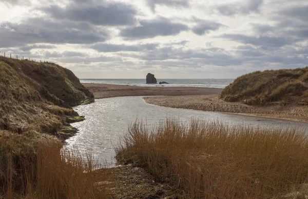 Mirando hacia Thurlestone Rock, Devon, Inglaterra — Foto de Stock