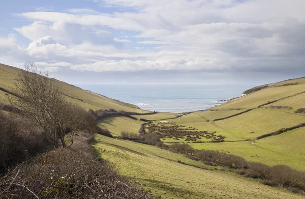 Vy mot Ayrmer Cove, Devon, England — Stockfoto