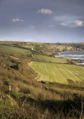 Wembury Sahili 'ne doğru bakın, Devon, İngiltere.