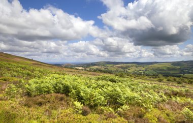 Stiperstones, Shropshire, İngiltere