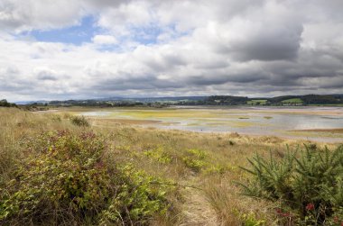 Dawlish Warren, Devon, İngiltere