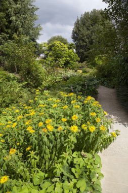 İngilizce ülke Bahçe border