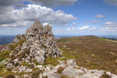 Kayalık fosillerini, Stiperstones, Shropshire, İngiltere