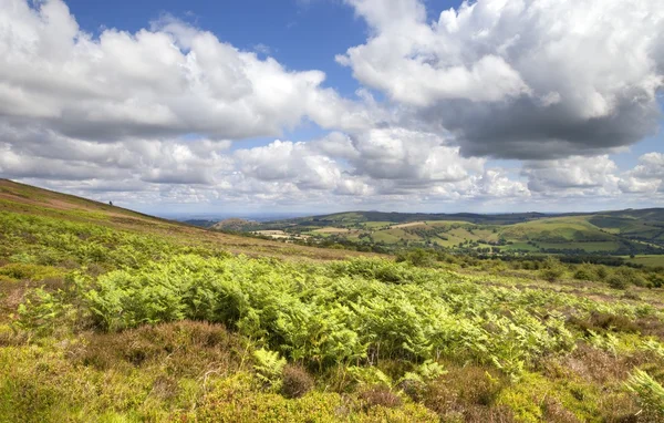 Stiperstones, Shropshire, Wielka Brytania — Zdjęcie stockowe