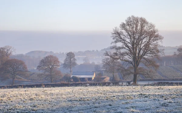 Cotswold landschap in de winter — Stockfoto