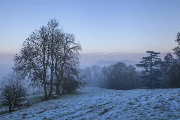 Hügellandschaft im Winter — Stockfoto