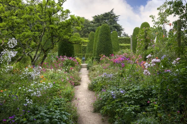 Inglés country garden with clipped tejo trees — Foto de Stock