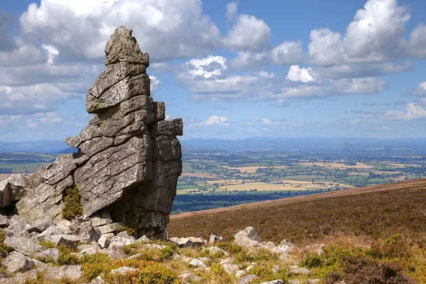 Brote rocoso en Stiperstones, Shropshire, Inglaterra — Foto de Stock