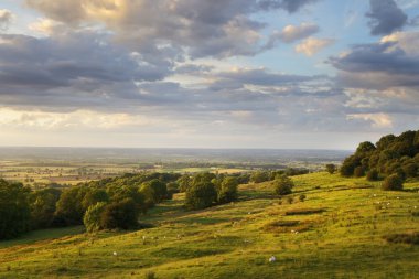 Vale, Evesham, İngiltere