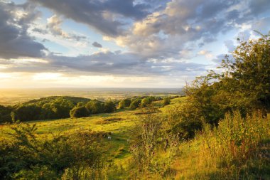 Vale, Evesham, İngiltere