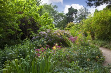 Woodland 