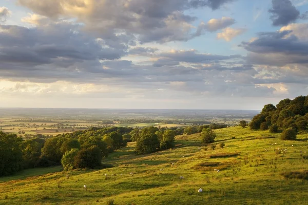 La vallée d'Evesham, Angleterre — Photo