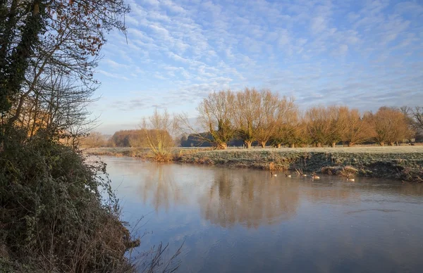 Fluß Avon, Warwickshire, England — Stockfoto