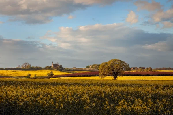 Worcestershire jordbruksmark, England — Stockfoto