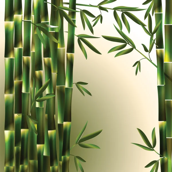 Fondo vectorial con bambú verde — Vector de stock
