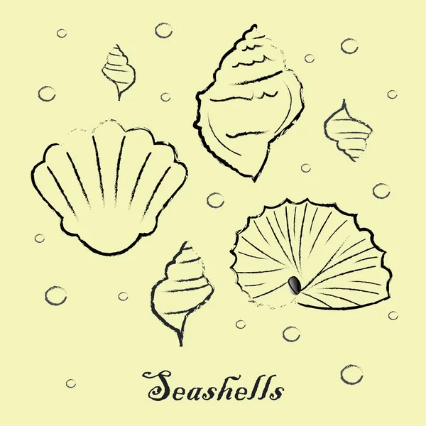 Vector set of seashells — Stock Vector