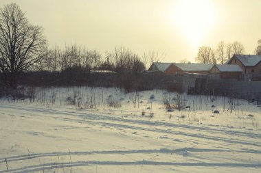 Kış çiçek kar frost buz kitlesi