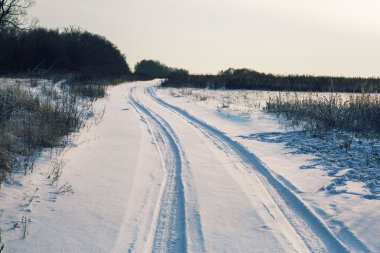 Kış yol orman alanı peyzaj