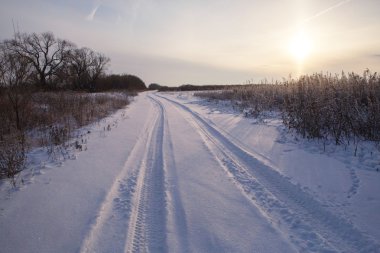 yol düşünce kış orman